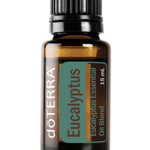 زيت شجرة الكينا “Eucalyptus” (صافي 15مل، مُركز، عضوي، زرع في البلد الأصلي)